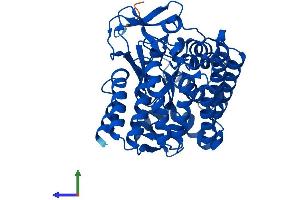 Protein Structure (PS) image for SET and MYND Domain Containing 2a (SMYD2A) (AA 1-433) protein (His tag) (ABIN7559777)