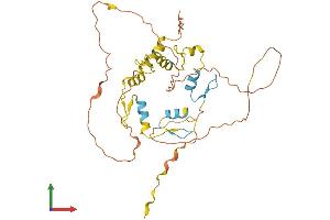 AlphaFold protein structure predicition of Human Recombinant SCRT1 Protein, UniprotID Q9BWW7