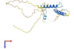 HAND1 Protein (AA 1-216) (His tag)