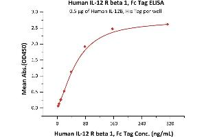 ELISA image for Interleukin 12 Receptor beta 1 (IL12RB1) (AA 24-540) (Active) protein (Fc Tag) (ABIN6809859)