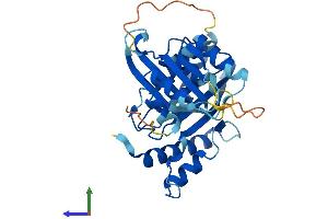 Protein Structure (PS) image for RWD Domain Containing 2A (RWDD2A) (AA 1-292) protein (His tag) (ABIN7561185)