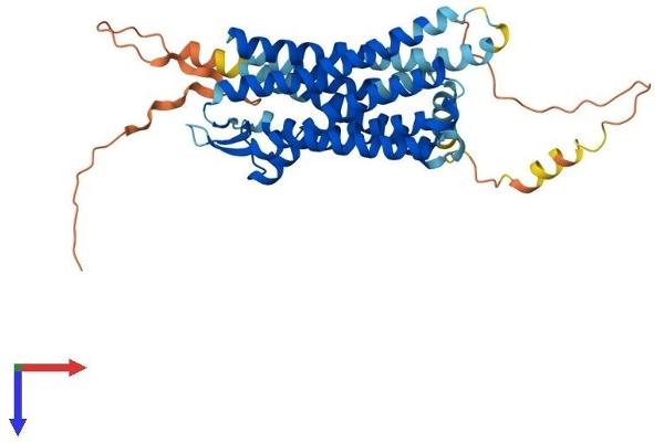 SSTR1 Protein (AA 1-391) (His tag)