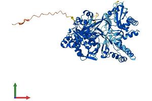 Protein Structure (PS) image for Acyl-CoA Synthetase Bubblegum Family Member 2 (ACSBG2) (AA 1-666) protein (His tag) (ABIN7551826)