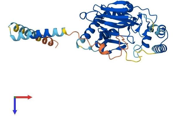 ASPHD2 Protein (AA 1-343) (His tag)