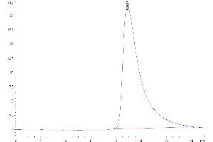 The purity of Biotinylated Human NKG2A&CD94 is greater than 95 % as determined by SEC-HPLC.