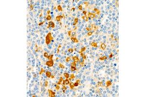 Immunohistochemistry of paraffin embedded human lymph node using CD30 (ABIN7076073) at dilution of 1:600 (400x lens)