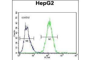 Flow Cytometry (FACS) image for anti-Growth Factor, Augmenter of Liver Regeneration (GFER) (AA 173-202), (C-Term) antibody (ABIN655619)