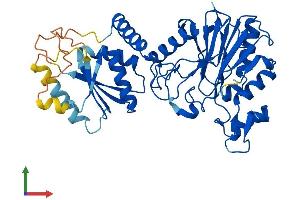 Protein Structure (PS) image for Chromosome 13 Open Reading Frame 31 (C13orf31) (AA 1-430) protein (His tag) (ABIN7548978)