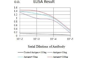 Black line: Control Antigen (100 ng),Purple line: Antigen (10 ng), Blue line: Antigen (50 ng), Red line:Antigen (100 ng) (MDM2 Antikörper  (AA 26-169))