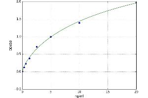 A typical standard curve (ATP2A3 ELISA Kit)