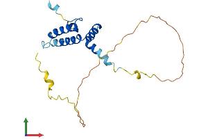 Protein Structure (PS) image for DnaJ (Hsp40) Homolog, Subfamily C, Member 12 (DNAJC12) (AA 1-198) protein (His tag) (ABIN7556179)