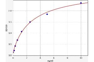 PRM1 ELISA Kit