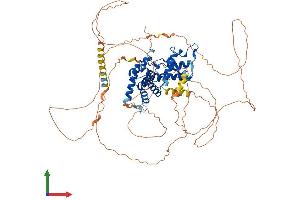 AlphaFold protein structure predicition of Mouse Recombinant Ccnt2 Protein, UniprotID Q7TQK0