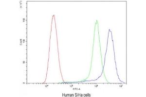 Flow Cytometry (FACS) image for anti-ATG14 Autophagy Related 14 (ATG14) antibody (ABIN4950253)