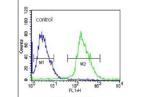 Flow cytometric analysis of 293 cells (right histogram), compared to a negative control cell (left histogram), was performed with KLK6 polyclonal antibody  and FITC-conjugated goat-anti-rabbit secondary antibody. (Kallikrein 6 Antikörper  (N-Term))
