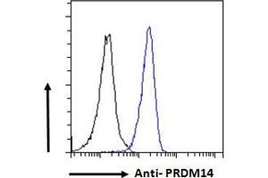 ABIN625828 Flow cytometric analysis of paraformaldehyde fixed HeLa cells (blue line), permeabilized with 0. (PRDM14 Antikörper  (AA 414-427))