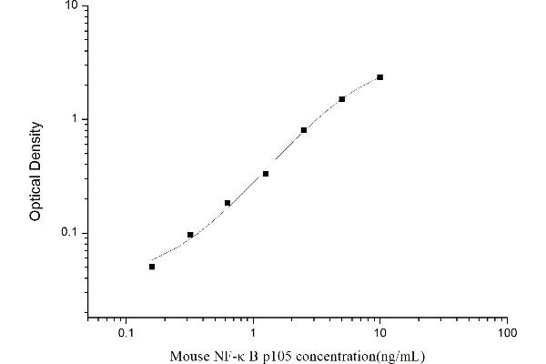 NFKB1 ELISA Kit