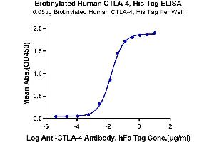 Immobilized Biotinylated Human CTLA-4, His Tag at 0.