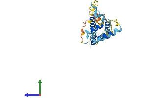 MREG Protein (AA 1-214) (His tag)