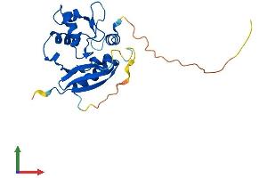 Protein Structure (PS) image for O6-Methylguanine-DNA-Methyltransferase (MGMT) (AA 1-211) protein (His tag) (ABIN7563015)
