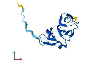 AlphaFold protein structure predicition of Mouse Recombinant Nhlrc4 Protein, UniprotID Q3UP44