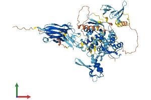 Protein Structure (PS) image for SMAD Specific E3 Ubiquitin Protein Ligase 2 (SMURF2) (AA 1-748) protein (His tag) (ABIN7561867)