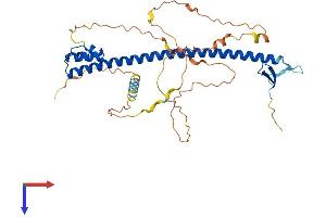 NFE2 Protein (AA 1-373) (His tag)