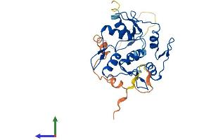 Protein Structure (PS) image for Zinc Finger Protein 32 (ZNF32) (AA 1-273) protein (His tag) (ABIN7545596)