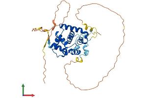 AlphaFold protein structure predicition of Mouse Recombinant Spdya Protein, UniprotID Q5IBH7