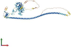 Protein Structure (PS) image for BRCA1 Associated Protein (BRAP) (AA 1-592) protein (His tag) (ABIN7552881)