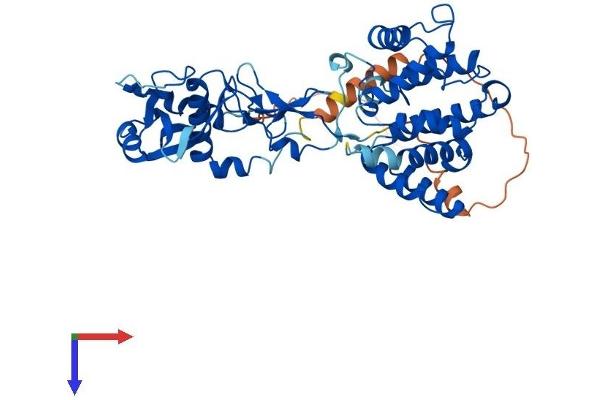 CHN2 Protein (AA 1-468) (His tag)