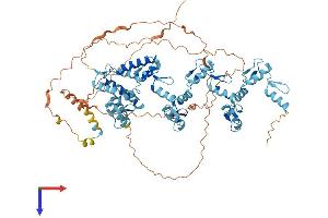 Zinc Finger with KRAB and SCAN Domains 7 (ZKSCAN7) (AA 1-754) protein (His tag)