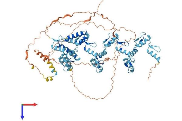Zinc Finger with KRAB and SCAN Domains 7 (ZKSCAN7) (AA 1-754) protein (His tag)