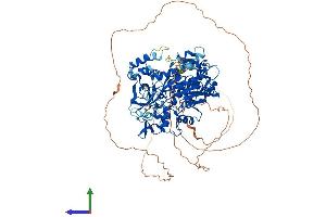 Protein Structure (PS) image for DNA (Cytosine-5-)-Methyltransferase 3 beta (DNMT3B) (AA 1-859) protein (His tag) (ABIN7562616)