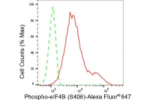 Flow cytometric analysis of Phospho-eIF4B (S406) expression in C2C12 cells using Phospho-eIF4B (S406) antibody (ABIN7798527), 1:2,000).
