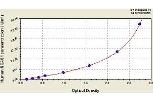 Typical Standard Curve (RCAS1 ELISA Kit)