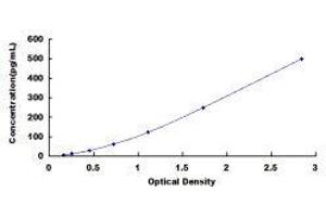 ELISA image for Interleukin 10 (IL10) ELISA Kit (ABIN414111)
