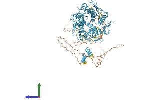 Protein Structure (PS) image for Zinc Finger Protein 44 (ZNF44) (AA 1-663) protein (His tag) (ABIN7545364)