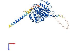 B4GALT2 Protein (AA 1-372) (His tag)