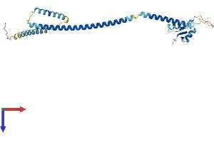 CENPK Protein (AA 1-269) (His tag)