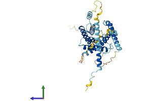 Protein Structure (PS) image for Immunoglobulin (CD79A) Binding Protein 1 (IGBP1) (AA 1-340) protein (His tag) (ABIN7557685)