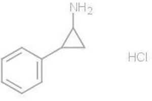 Tranylcypromine (2-PCPA) HCl (Tranylcypromine (2-PCPA) HCl)