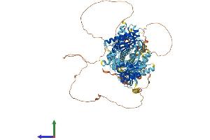 Protein Structure (PS) image for Adenylate Cyclase 5 (ADCY5) (AA 1-1261) protein (His tag) (ABIN7552006)