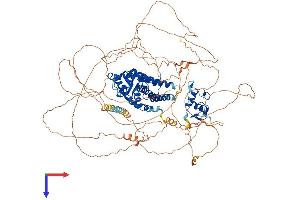 NR3C2 Protein (AA 1-978) (His tag)