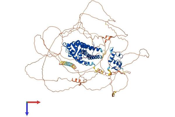 NR3C2 Protein (AA 1-978) (His tag)