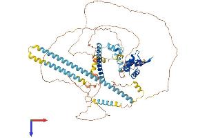 FOXP2 Protein (AA 1-715) (His tag)