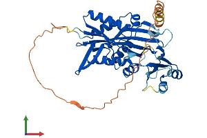 Protein Structure (PS) image for Ribosomal Modification Protein RimK-Like Family Member B (RIMKLB) (AA 1-387) protein (His tag) (ABIN7558396)