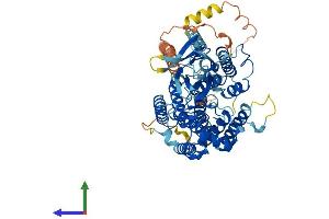 Protein Structure (PS) image for Heparan-alpha-Glucosaminide N-Acetyltransferase (HGSNAT) (AA 1-663) protein (His tag) (ABIN7554102)