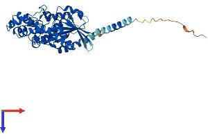 GNA13 Protein (AA 1-377) (His tag)