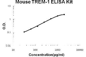Mouse TREM-1 PicoKine ELISA Kit standard curve (TREM1 ELISA Kit)